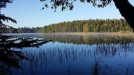 芬蘭,風景,景觀