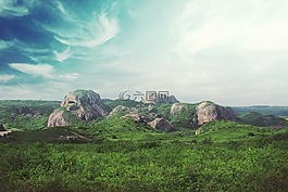 绿色,草,原野