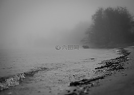 海灘,水,霧
