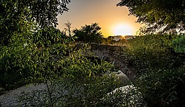 太陽(yáng),日落,景觀