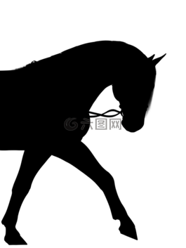 馬,側(cè)影,小馬