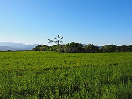 風(fēng)車(chē),馬洛卡,穆羅