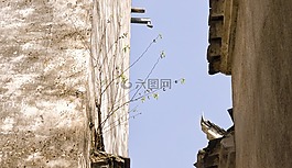 古墙,花草,天空