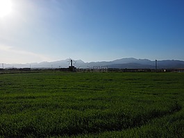 風(fēng)車,老,失效