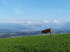 高山,瑞士,性質(zhì)