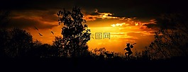 流浪者,wandersmann,步行