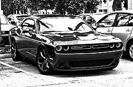 人類發(fā)展報(bào)告,單色,肌肉車