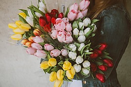 郁金香,鮮花,花束