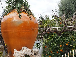 安芙蘭,裝飾,花架