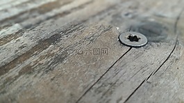 木材,摘要,材料