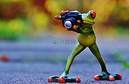 攝影師,青蛙,滑稽
