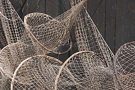 漁業,漁網,釣魚