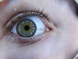 眼,宏,虹膜