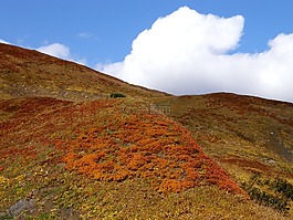 秋季,山,云