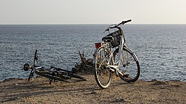 自行車,海,自然