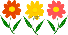 三花,植物,矢量圖像