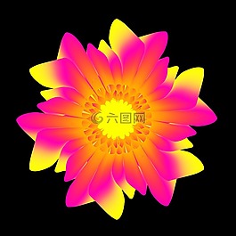 花,植物,花瓣