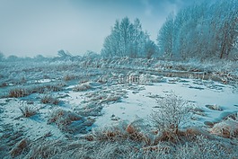 冬天,雪,冷