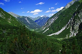 阿爾卑斯山,谷,景觀