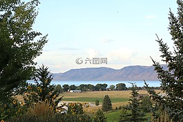 山,查看,樹