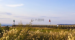 天空,業(yè),自然