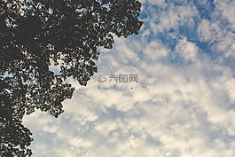 天空,云,飛機(jī)