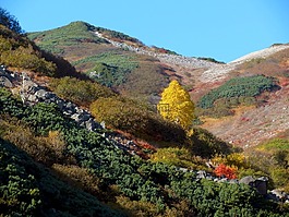 秋季,山,云
