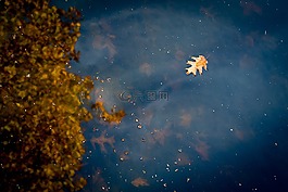 湖,河,水