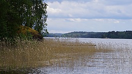 芬蘭,海灘,湖