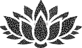 花,花的,蓮花