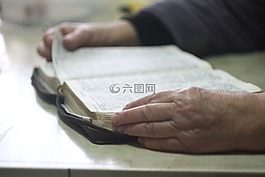 書,閱讀,學習