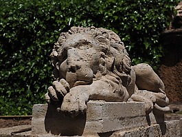 獅子,捕食,數(shù)字
