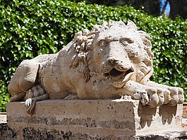 獅子,捕食,數(shù)字