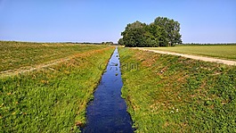 綠色,河,水