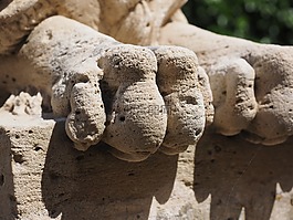 腳,爪,獅子