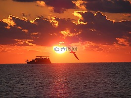 日落,海洋,海