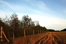 景觀,波蘭,天空