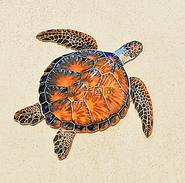 龜,爬行動物,背景