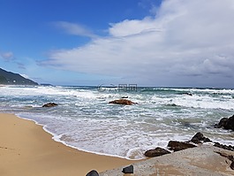 日落,海,鮮花