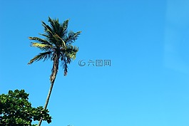 蓝色,天空,阳光