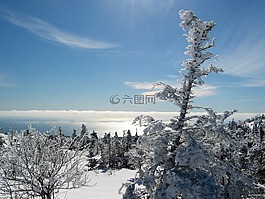 阿卡迪亞國家公園,緬因州,景觀