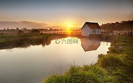 湖,夏季,草