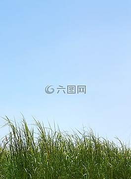天空,景觀,普拉托