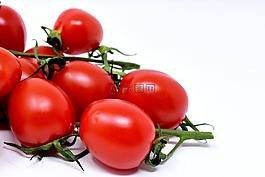 蕃茄,桁架,紅色