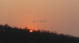 日落,發(fā)光,森林