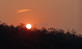 日落,發(fā)光,森林