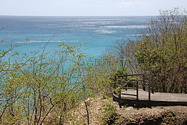 加勒比,查看,海