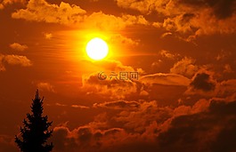 日落,太陽,云