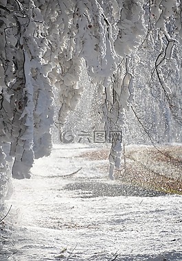 雪,審美,冬天
