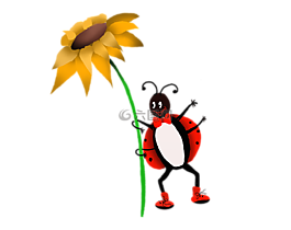 瓢蟲,太陽(yáng)花,春天